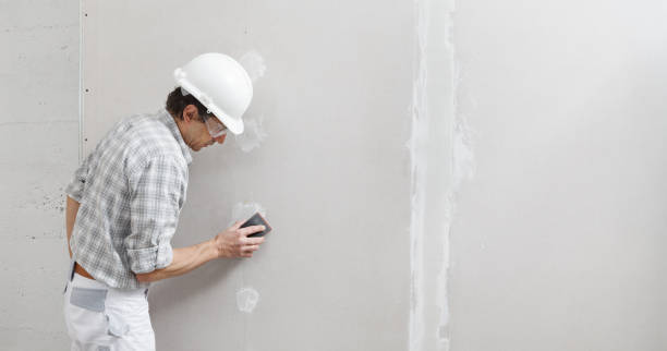 Best Drywall Removal and Disposal  in Bayboro, NC